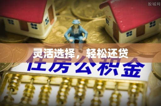 吴堡灵活选择，轻松还贷